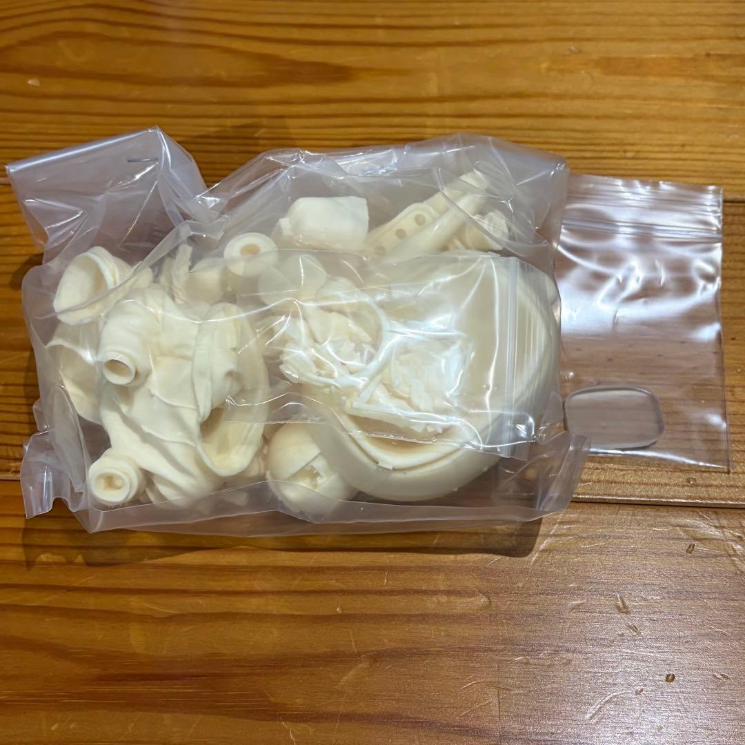 原型：大畠雅人 しゆまい 東京ゲーム少女 ガレージキット【内袋未開封】