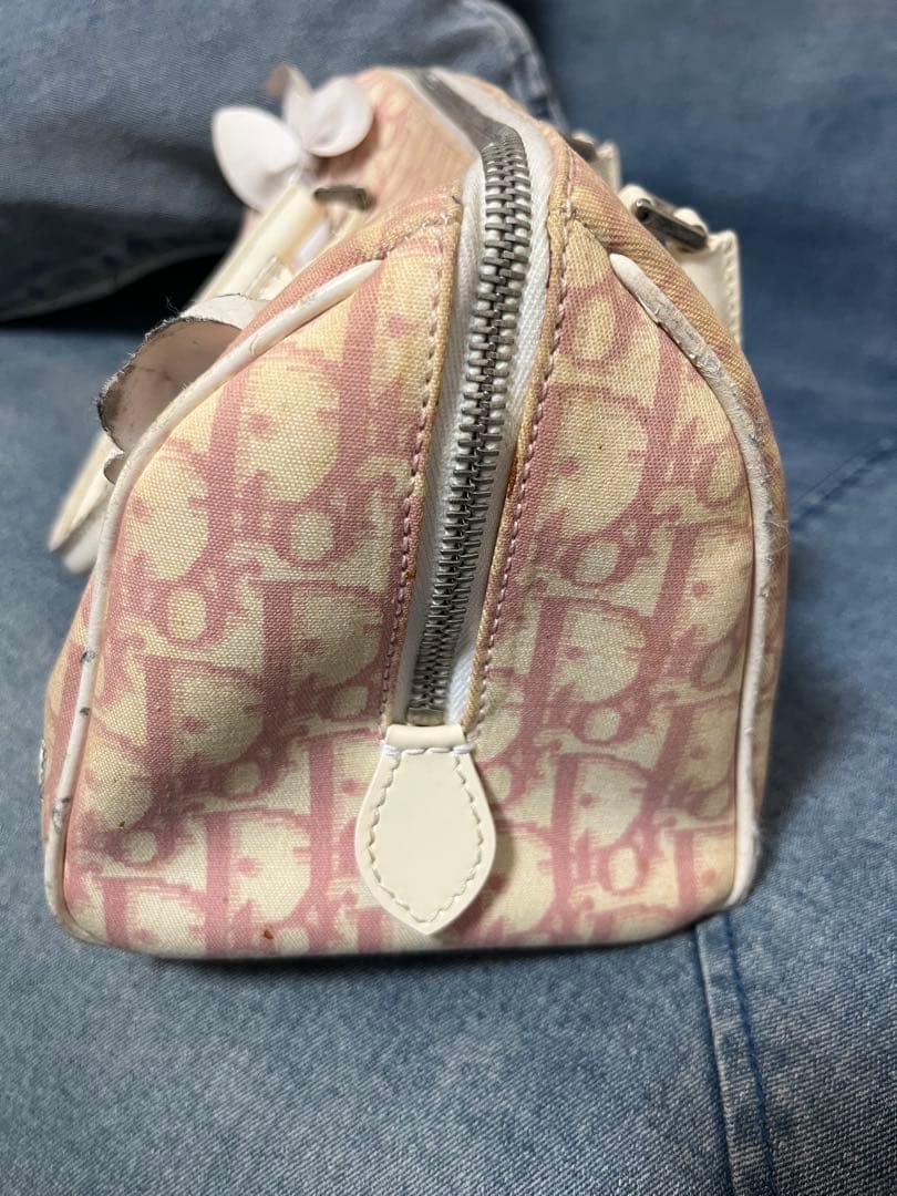 【あにまる】Christian Diorトロッター