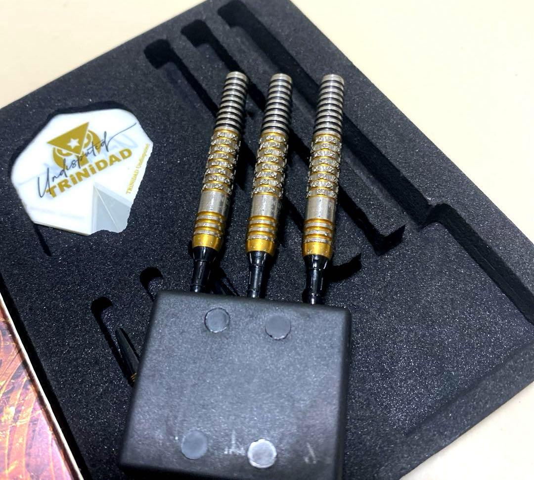 TRINIDAD Ricardo α 浅田斉吾　モデル　中古　送料込み