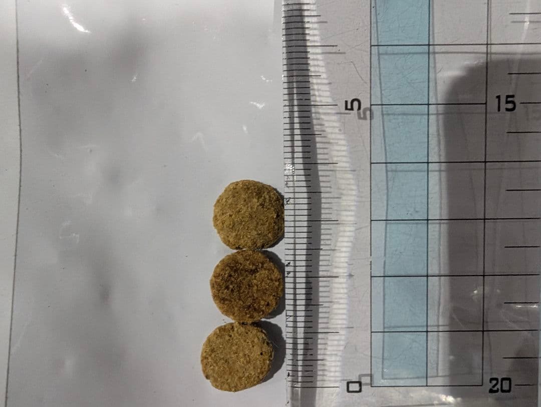 16日まで限定値下げブリーダーパック ファーストチョイスドライフード 18kg