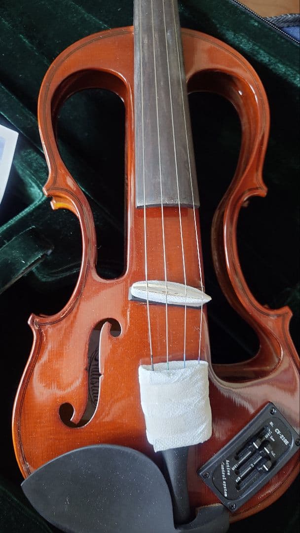 hallstatt ハルシュタット　EV-30 バイオリン