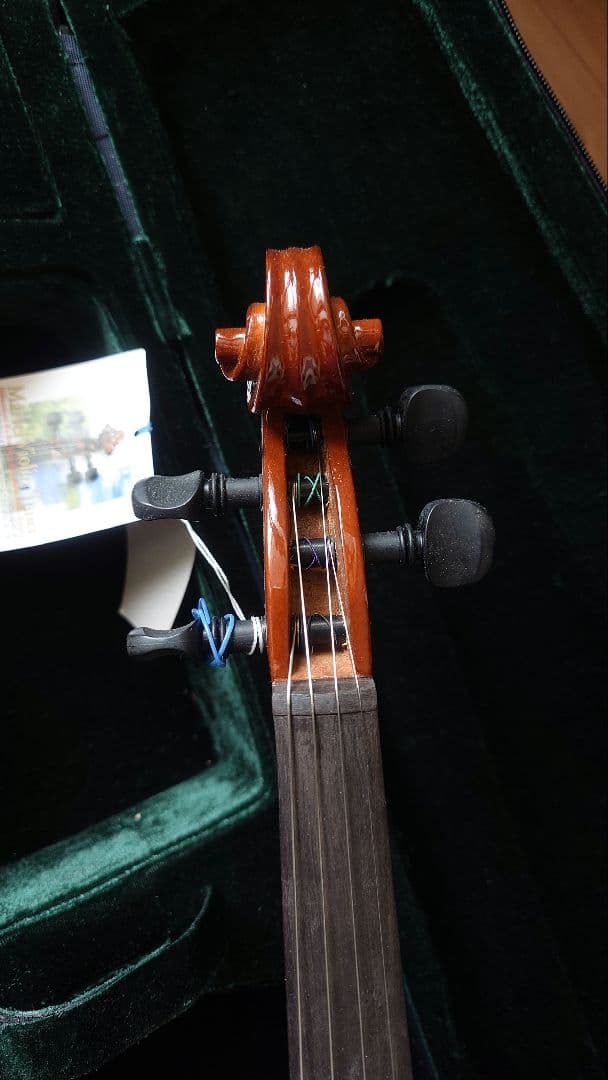 hallstatt ハルシュタット　EV-30 バイオリン