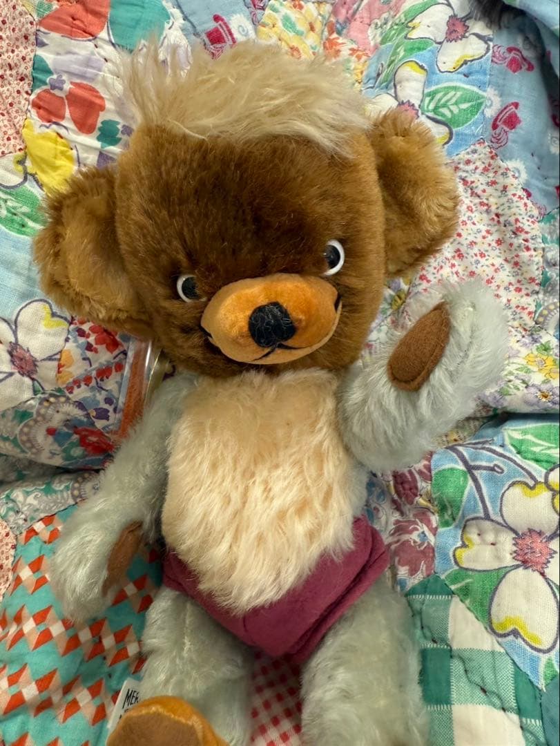 マジュランメリーソート社　アンセスターオブチーキー