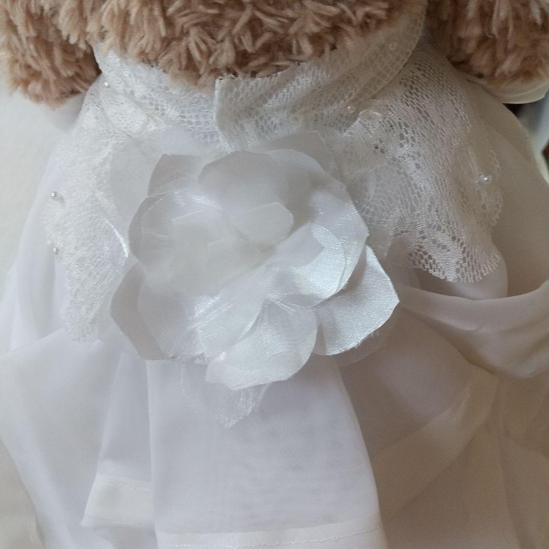 ちー様用ダッフィー、シェリーメイコスチューム