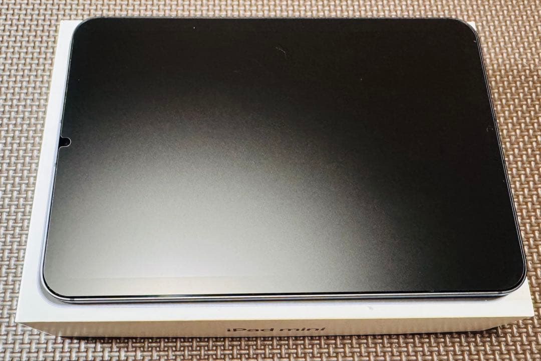 QUATROiPad mini 6 256GB本体+純正ペン+ケース付