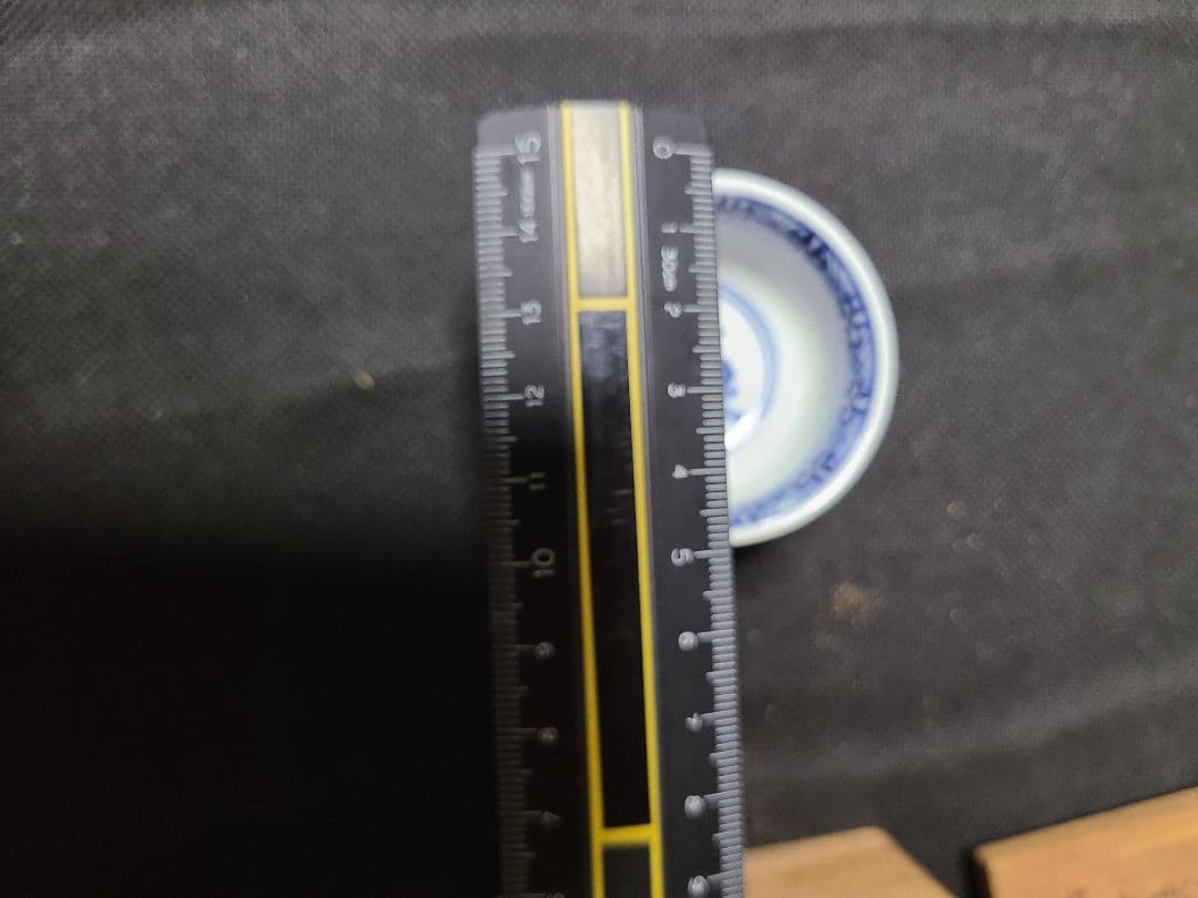 須田菁華馬上盃