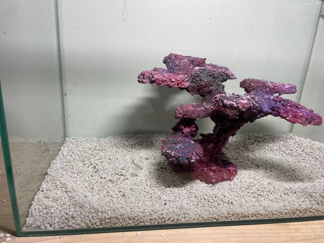 人工ライブロック　SHR29 アク抜き済み安心塗料使用