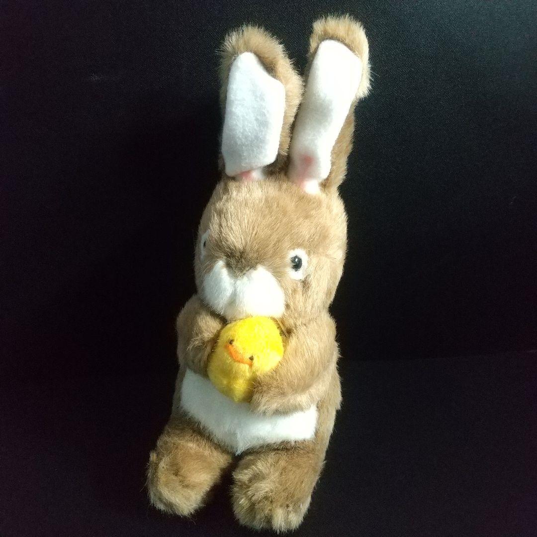 ウサギ　うさぎ