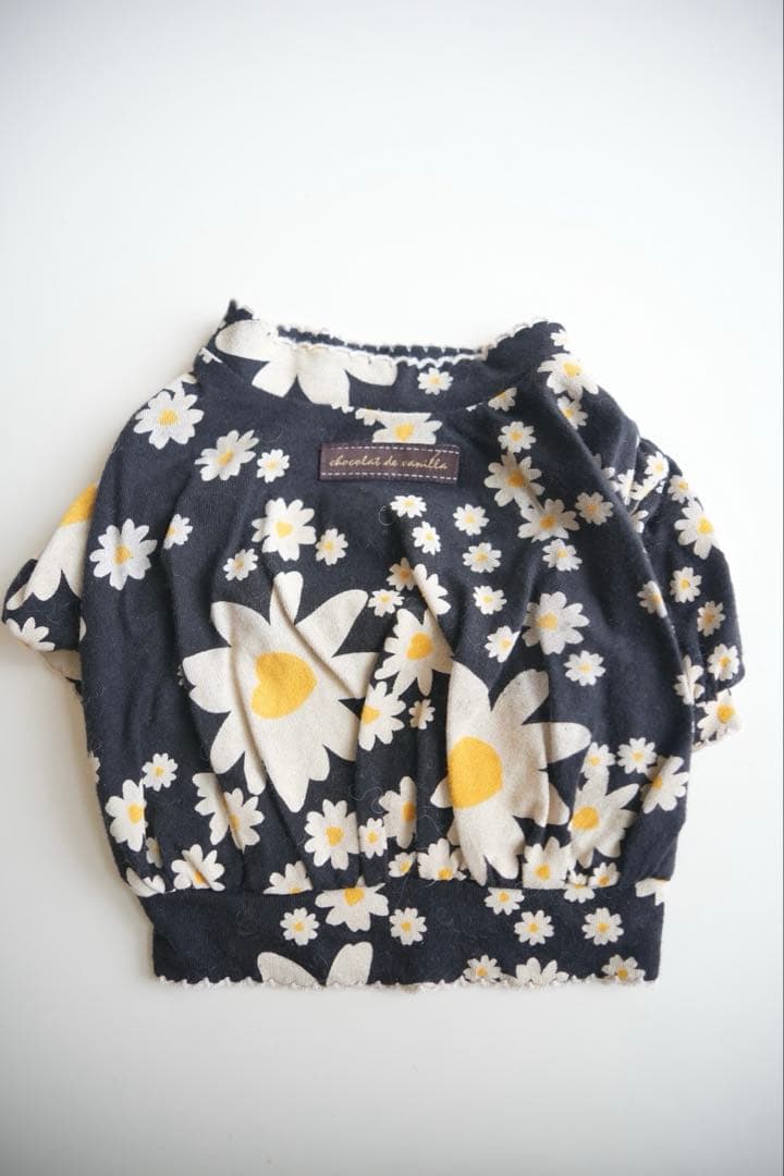 アトリエgg 19ハーフ