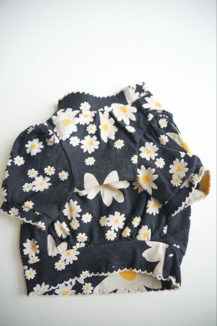 アトリエgg 19ハーフ