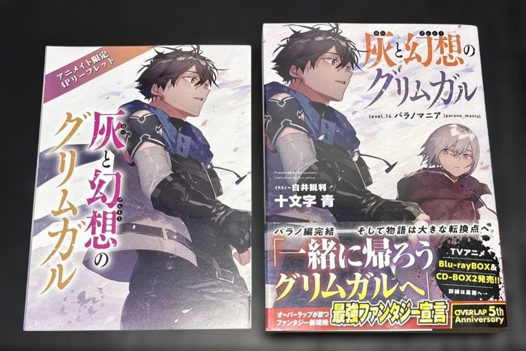 灰と幻想のグリムガル 1-22巻 全巻 14+ 14++ 全24冊