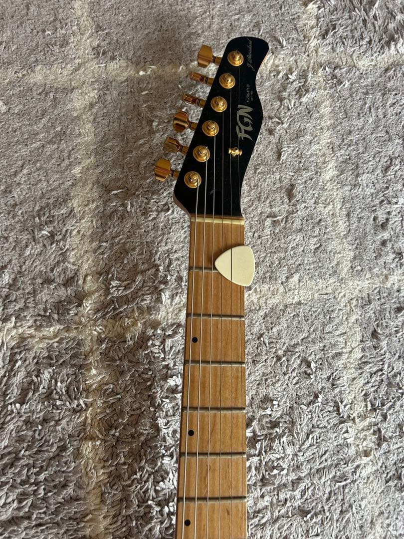 ギター FNG FUJIGEN JIL-ASH-DE664 EMG