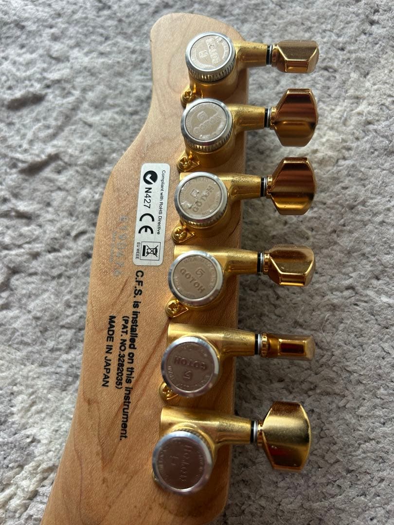 ギター FNG FUJIGEN JIL-ASH-DE664 EMG