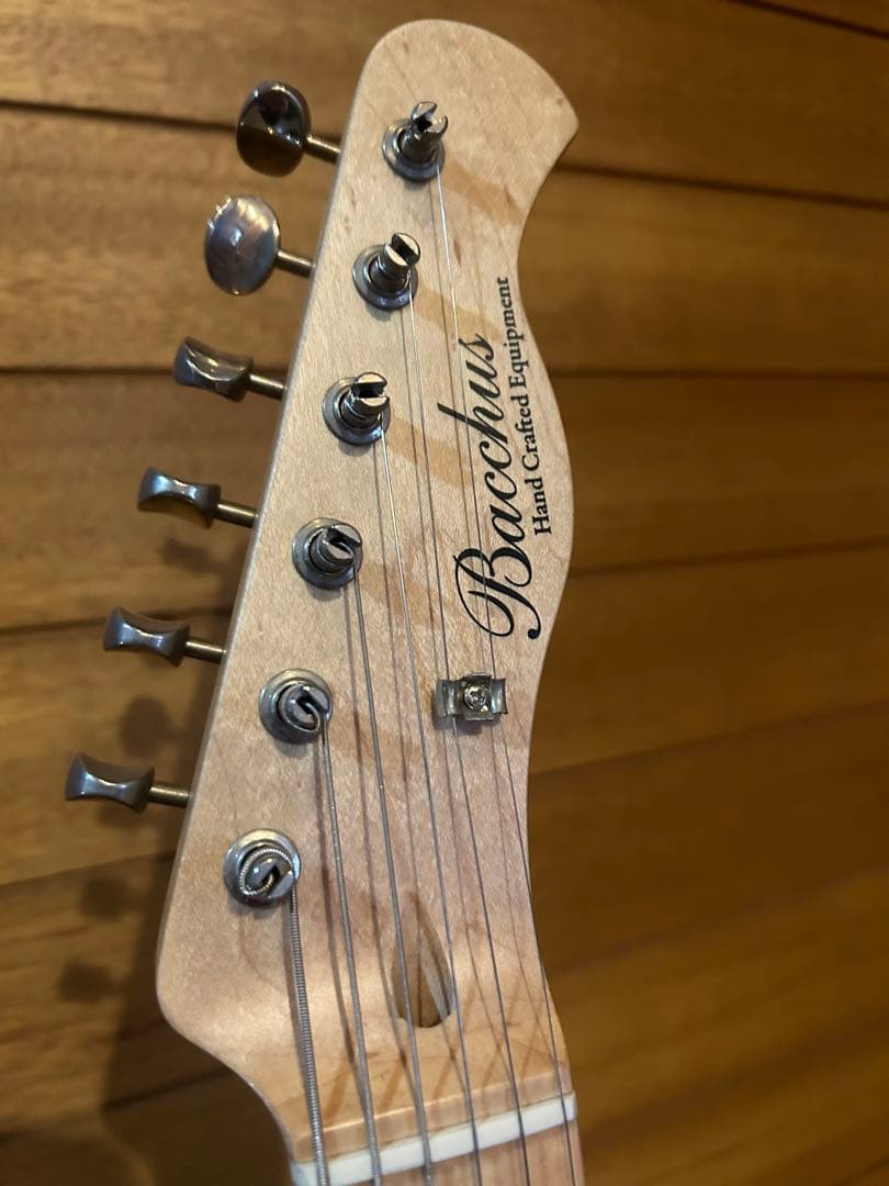 中古　レア！Bacchus BSG Hybrid + Tex-mex PU