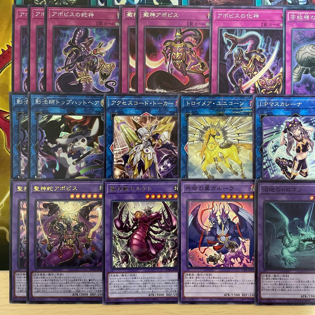 本格構築 王家の神殿デッキ リシドデッキ アポピスデッキ 刻印を持つ者
