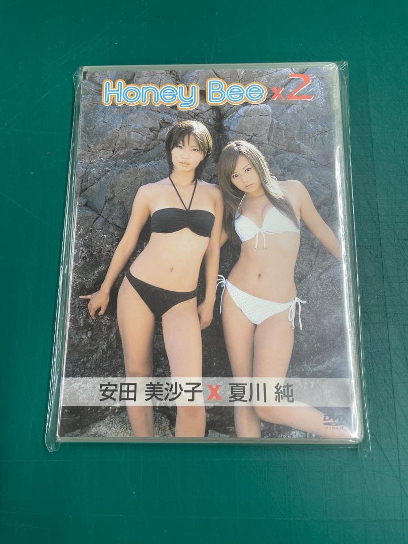 ※たしろ※【希少】　安田美佐子のDVDセット　全29枚