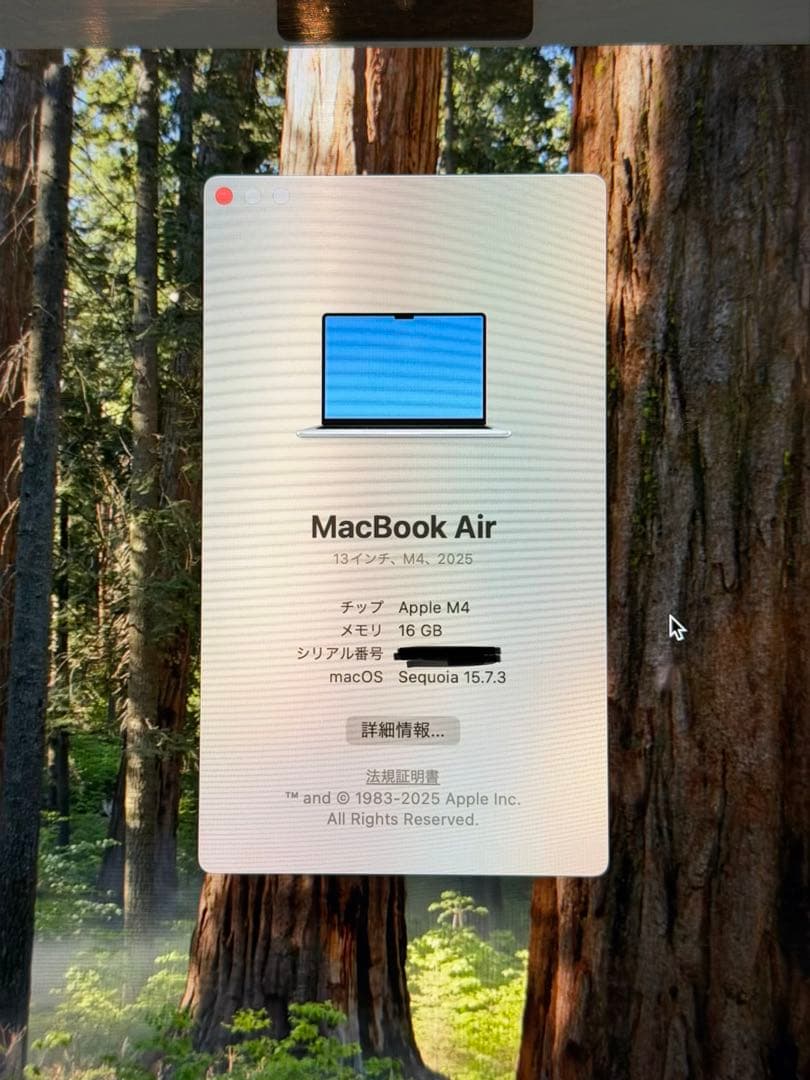 MacBook本体 MacBook Air 2025 M4 16GB JIS