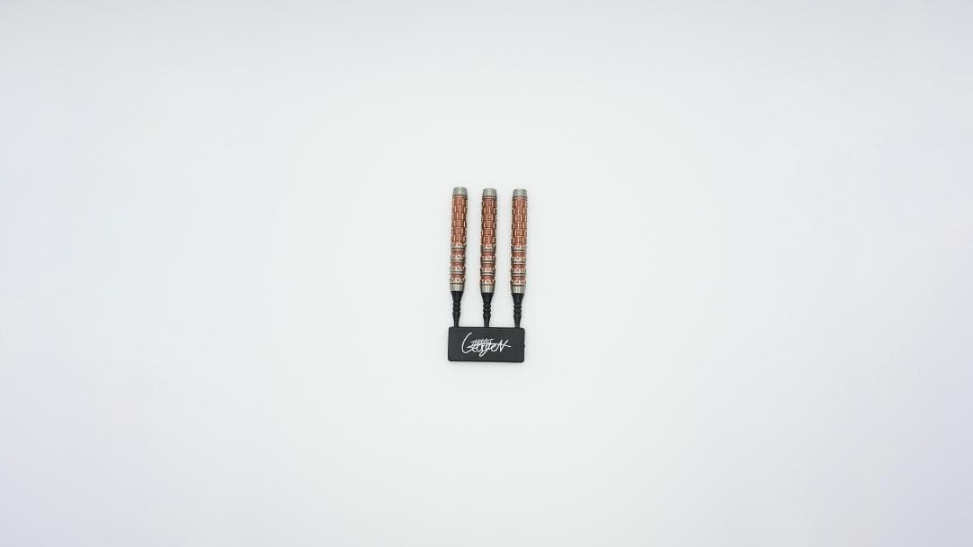 【RAPTOR】ラプターG6 西谷譲二選手モデル2BA【TARGET】