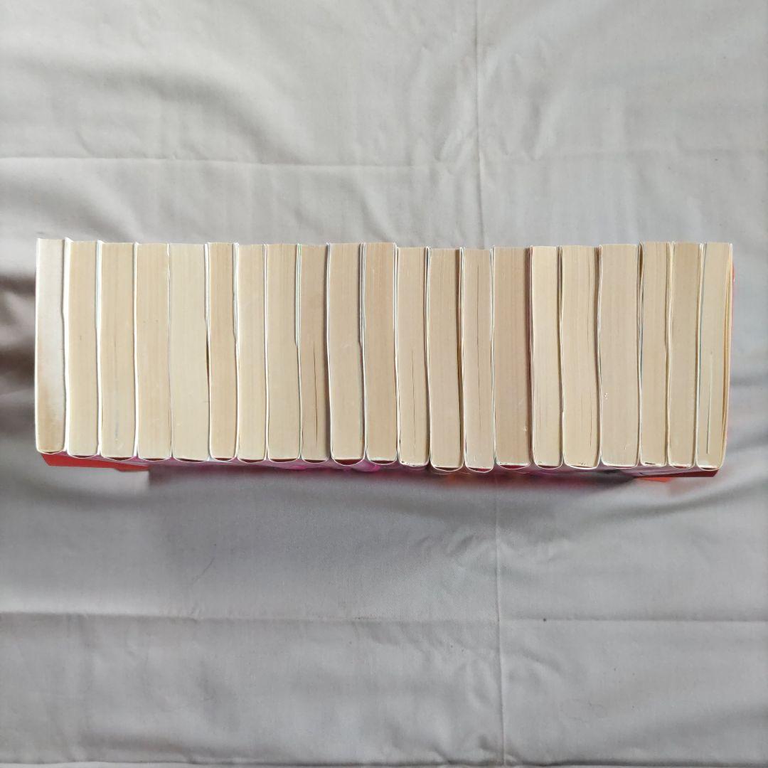 藤本ひとみ　まんが家マリナシリーズ　２１冊