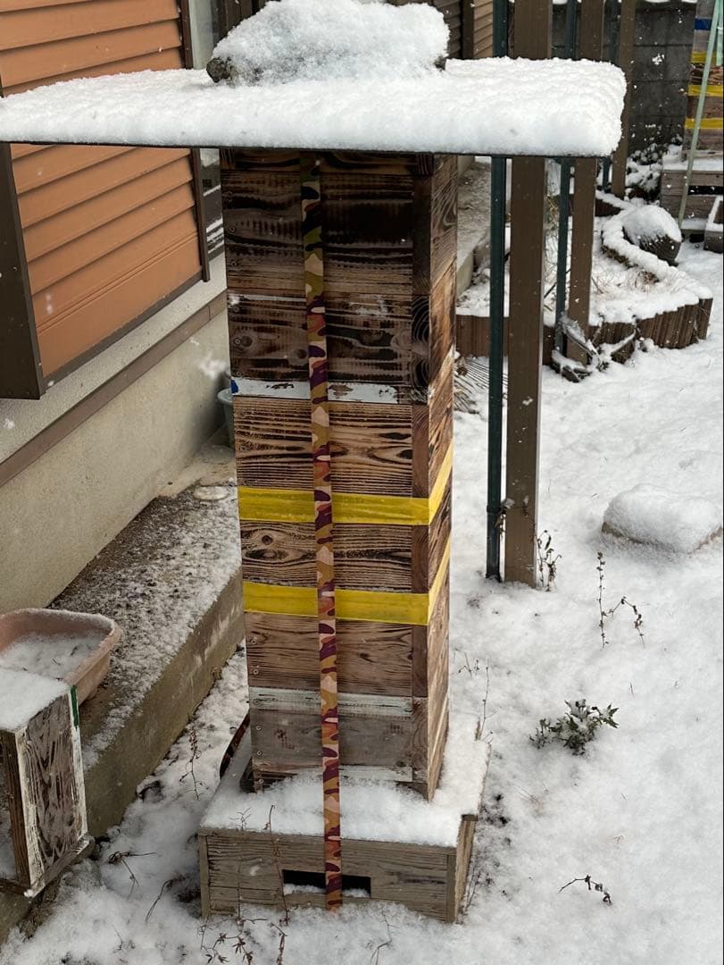日本ミツバチ　重箱式巣箱　飼育捕獲用