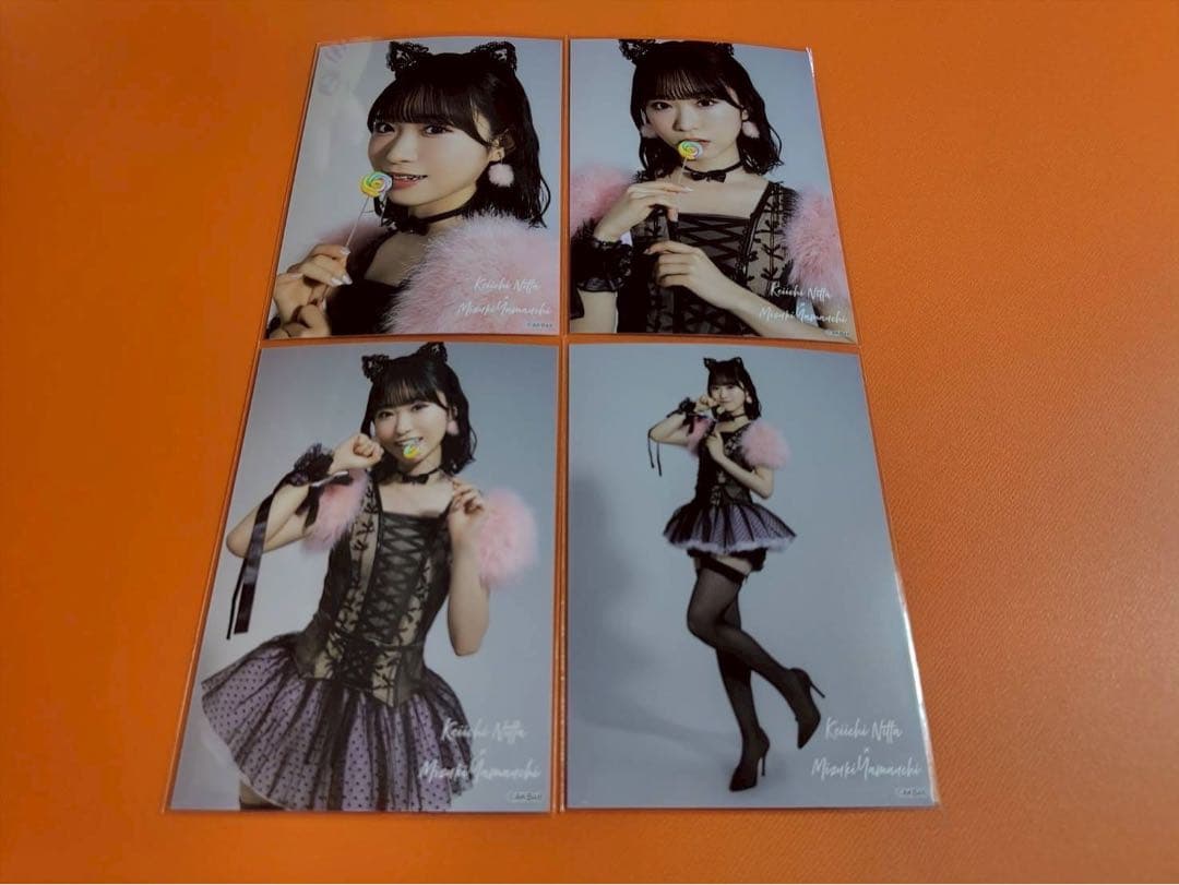 山内瑞葵　AKB48 大丸東京店 大衣装展 ランダム生写真 4種コンプ　猫