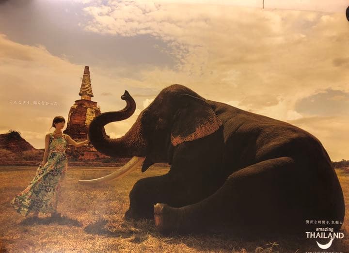 【非売品】乃木坂46 激レアポスター6枚セット(B2サイズ)