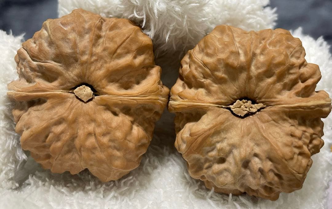 年末セール中！ 48蛤蟆头 クルミ文玩核桃