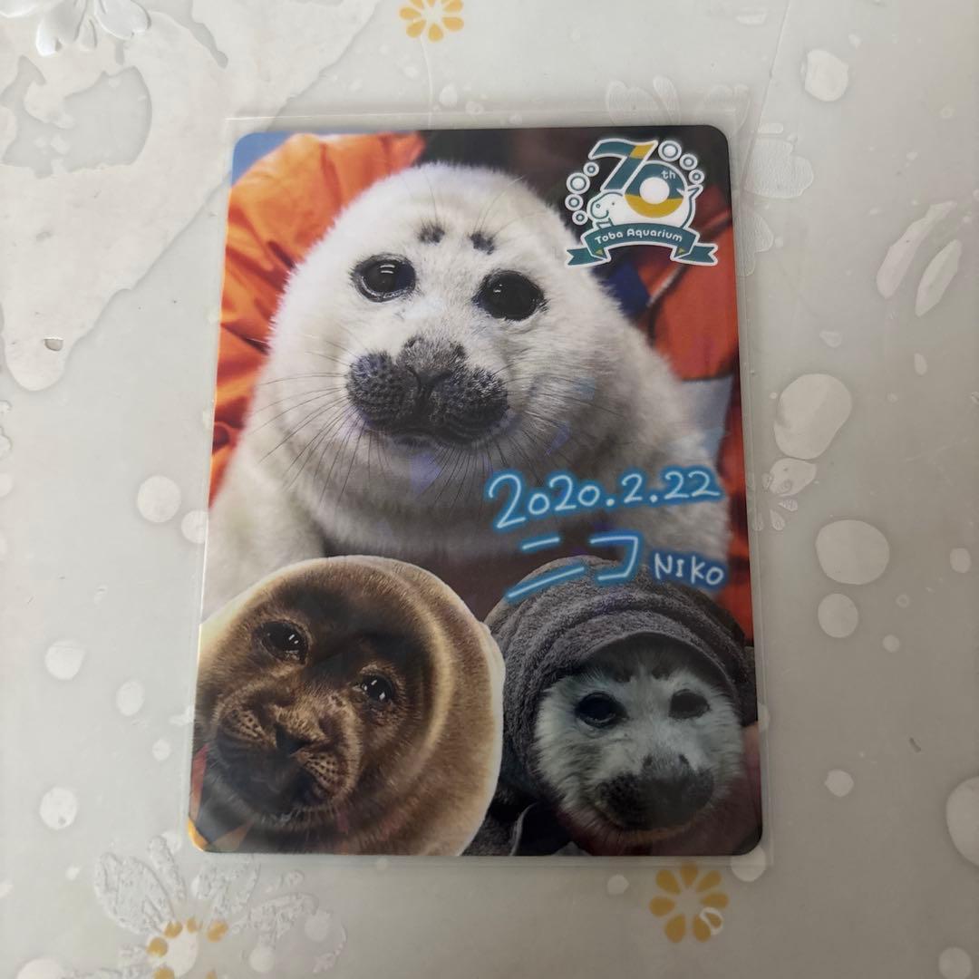 鳥羽水族館　70周年　コレクションカード　レア　ニコくん　アザラシ