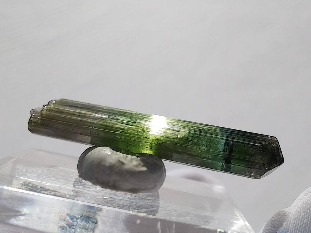 282 マルチカラー トルマリン キャッツアイ ブラジル産 結晶 原石