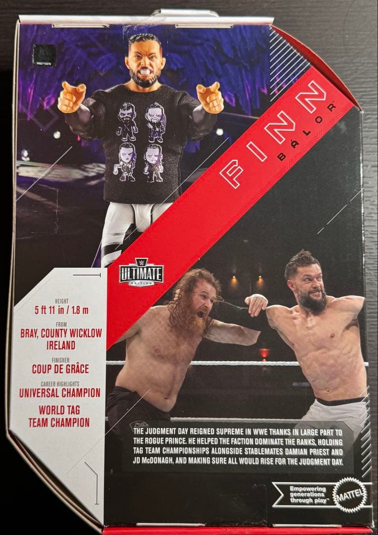 【セール中】【専用ケース付き】フィン・ベイラー WWE フィギュア