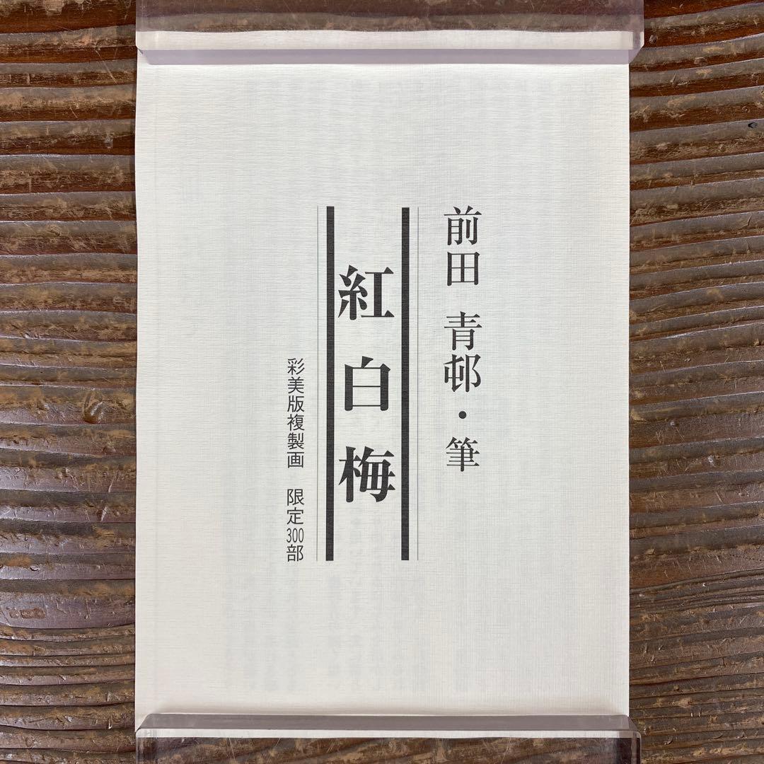 美品 掛け軸 前田青邨筆 金地「紅白梅」名画 限定品 彩美版複製画 解説付き