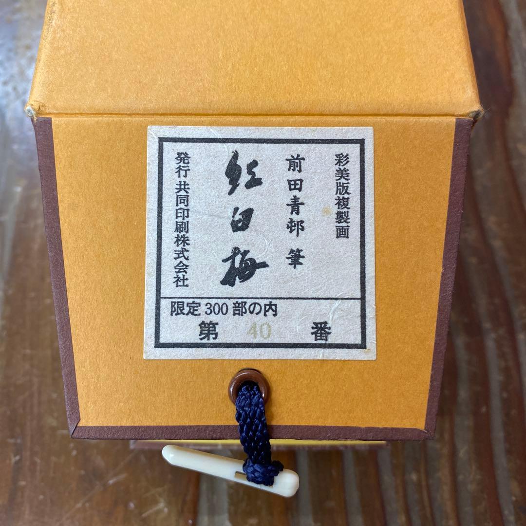 美品 掛け軸 前田青邨筆 金地「紅白梅」名画 限定品 彩美版複製画 解説付き