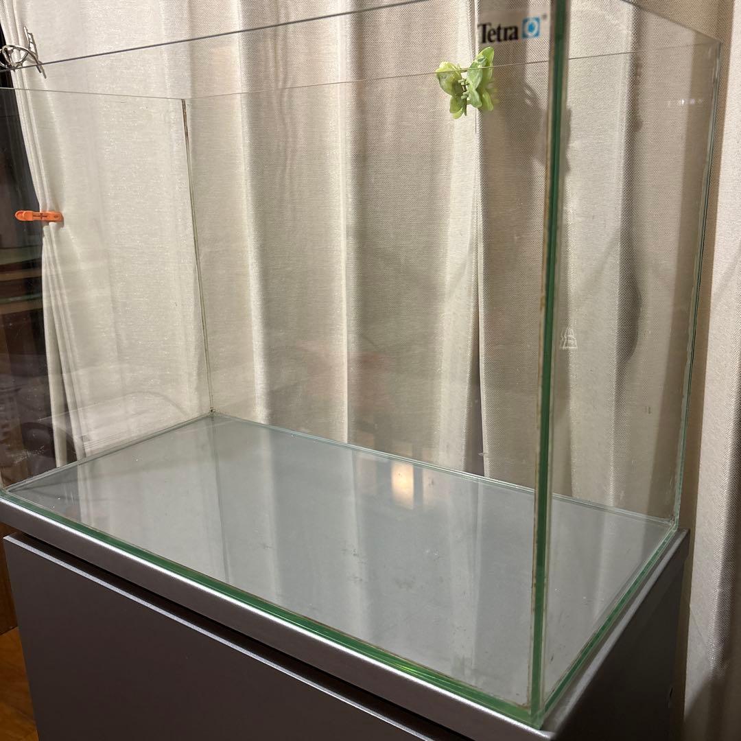 引き取り限定　60センチ水槽セット