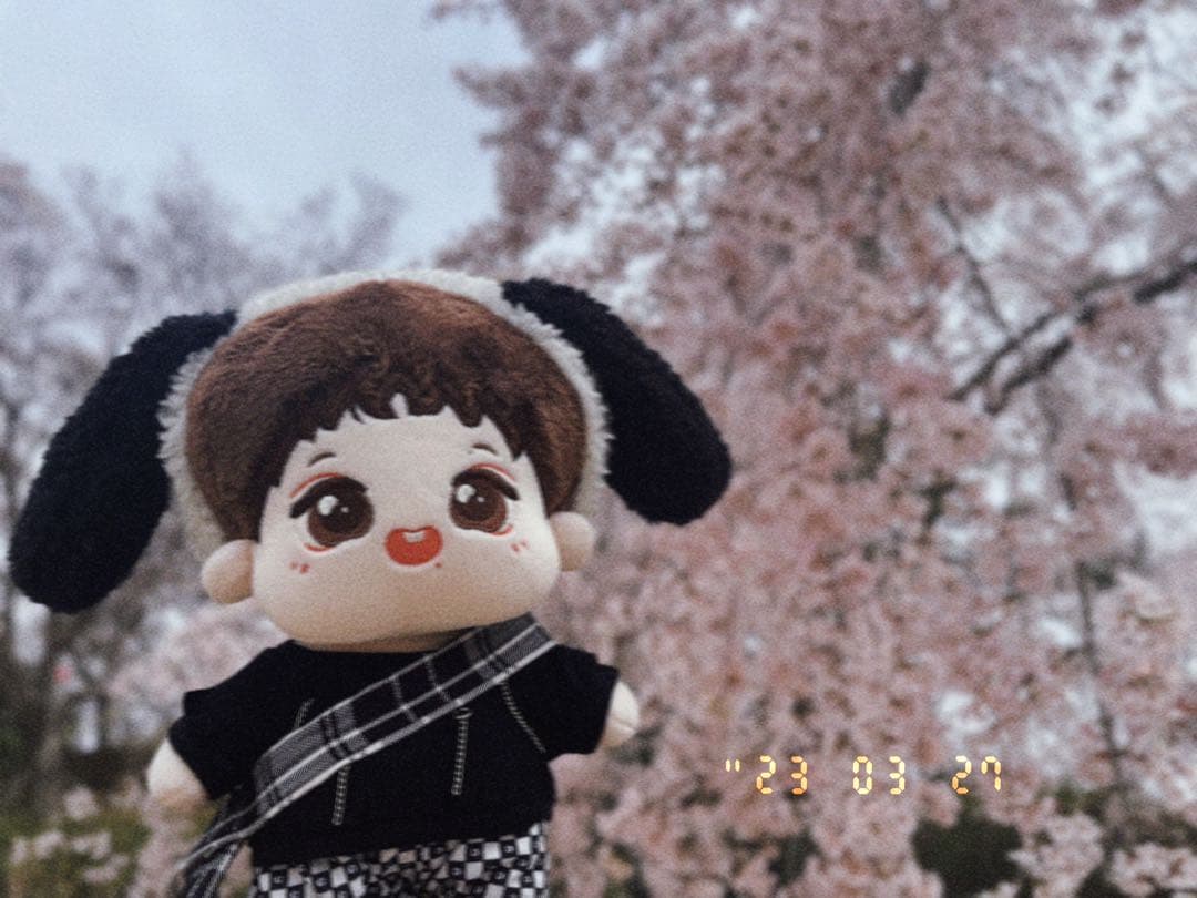 博君一肖ぬいぐるみbjyx