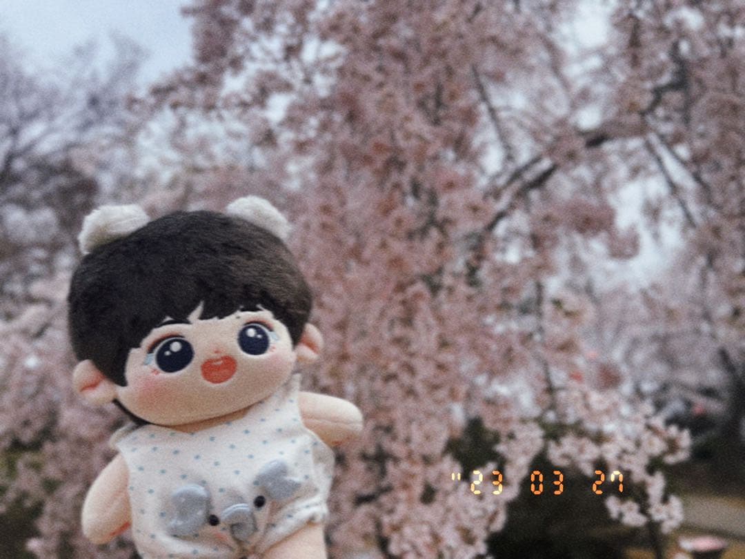 博君一肖ぬいぐるみbjyx