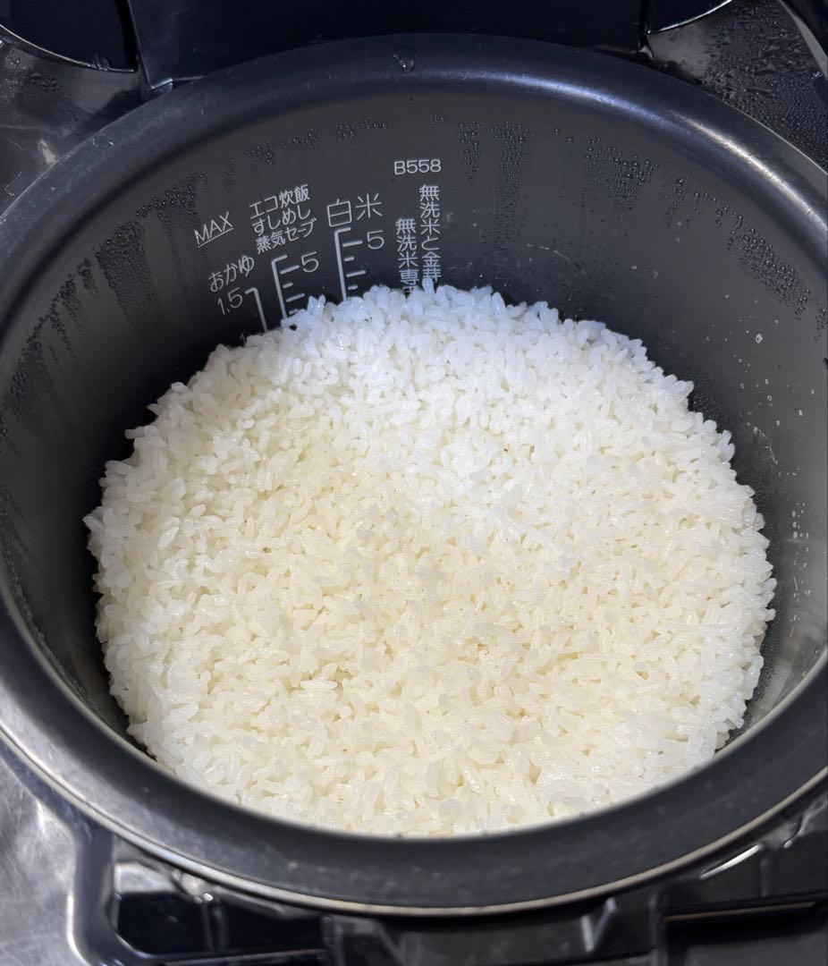 象印圧力炊飯器 NW-JU10
