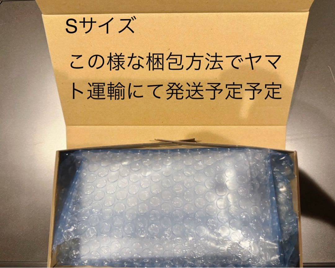 PSA10レシラムex BWR SV11W ホワイトフレア 174/086