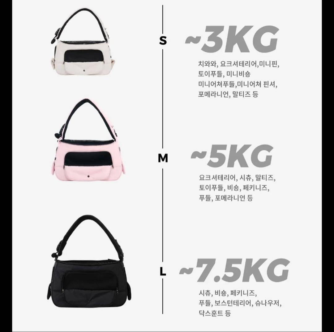 お値下げ！SSOOOK SLINGBAG(バッグ右）タグ付き　ベージュ L右