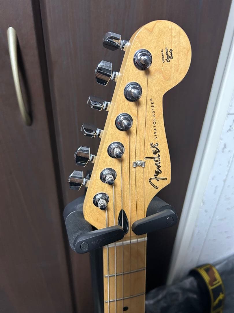 ギター FENDER Player stratocaster MN PWT