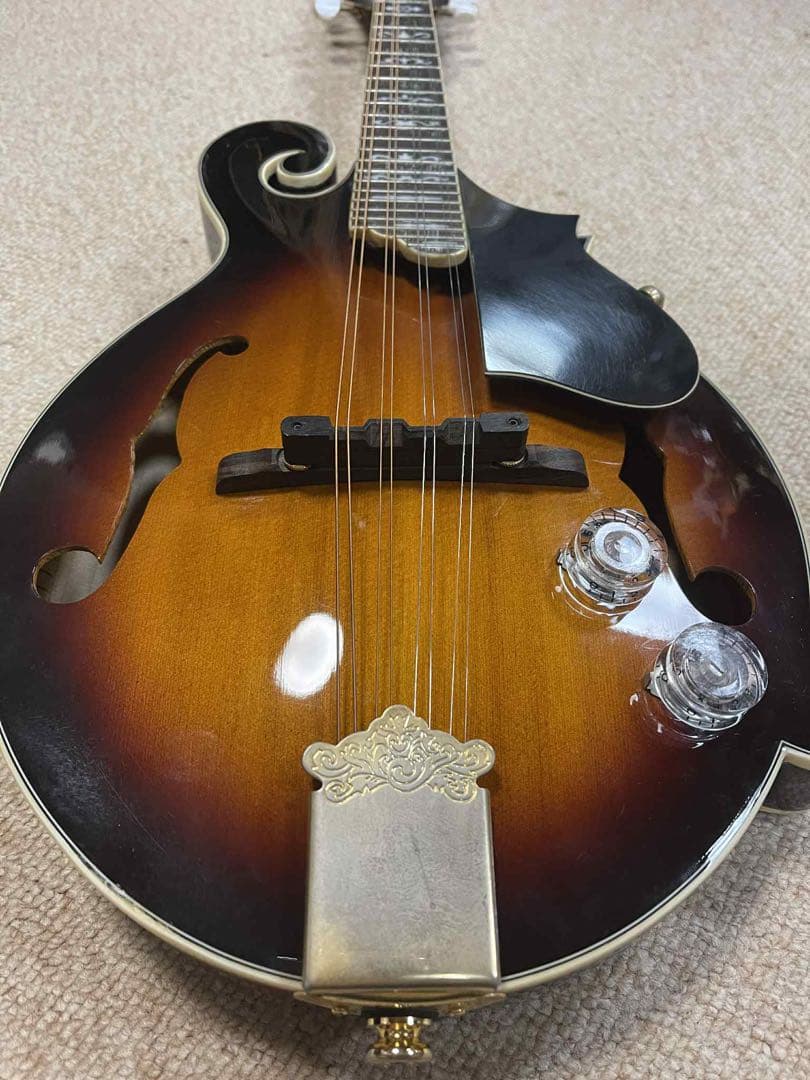 Rally ラリー エレクトリックフラットマンドリン&ハードケース