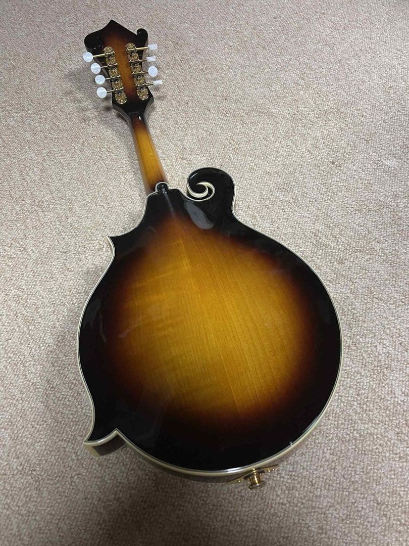 Rally ラリー エレクトリックフラットマンドリン&ハードケース