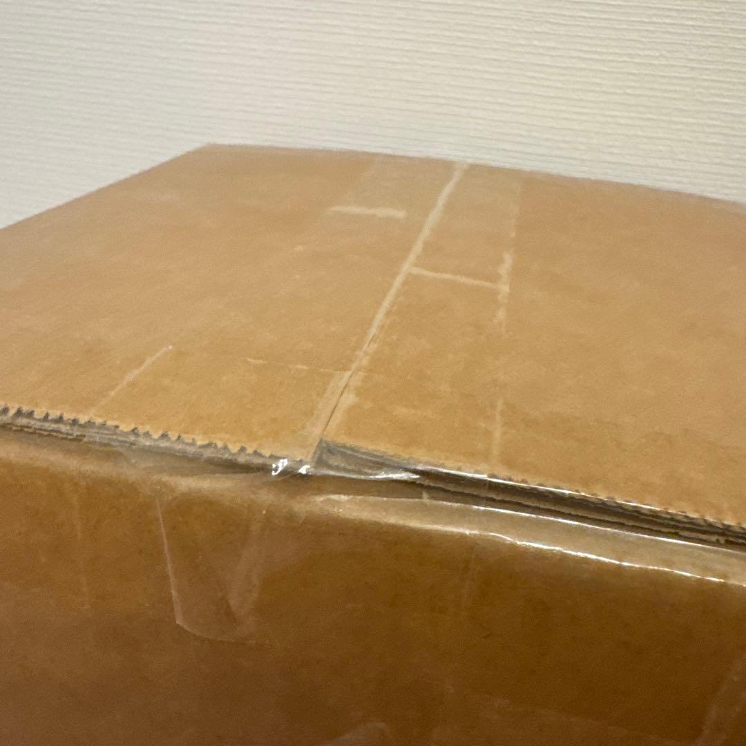 未開封 AIペットlopeto