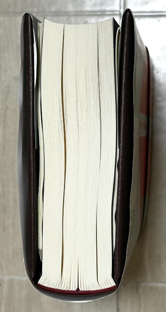 100億マニュアル 梅澤伸輔 西野博道