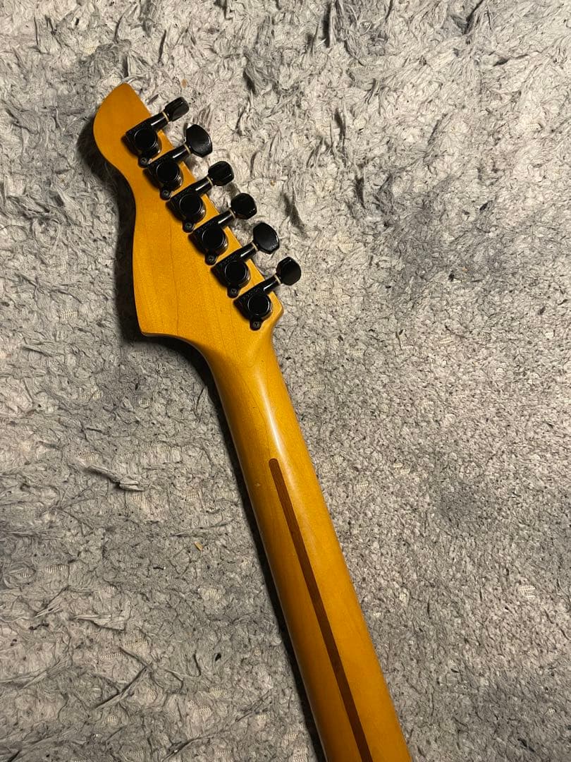 CASIOシンセギターPG300