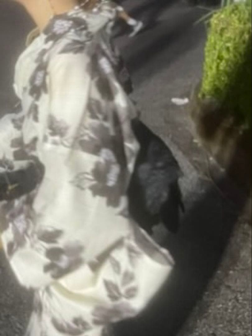 Dita 浴衣 京の水墨画 ⚠️帯黒