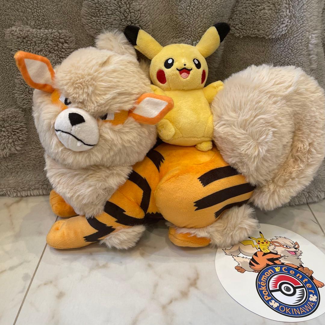 ポケモンセンター　オキナワ限定ウインディとピカチュウぬいぐるみ 10体
