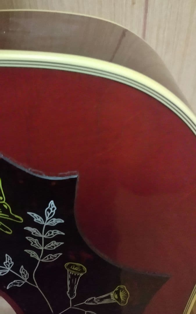 Gibson ハミングバード