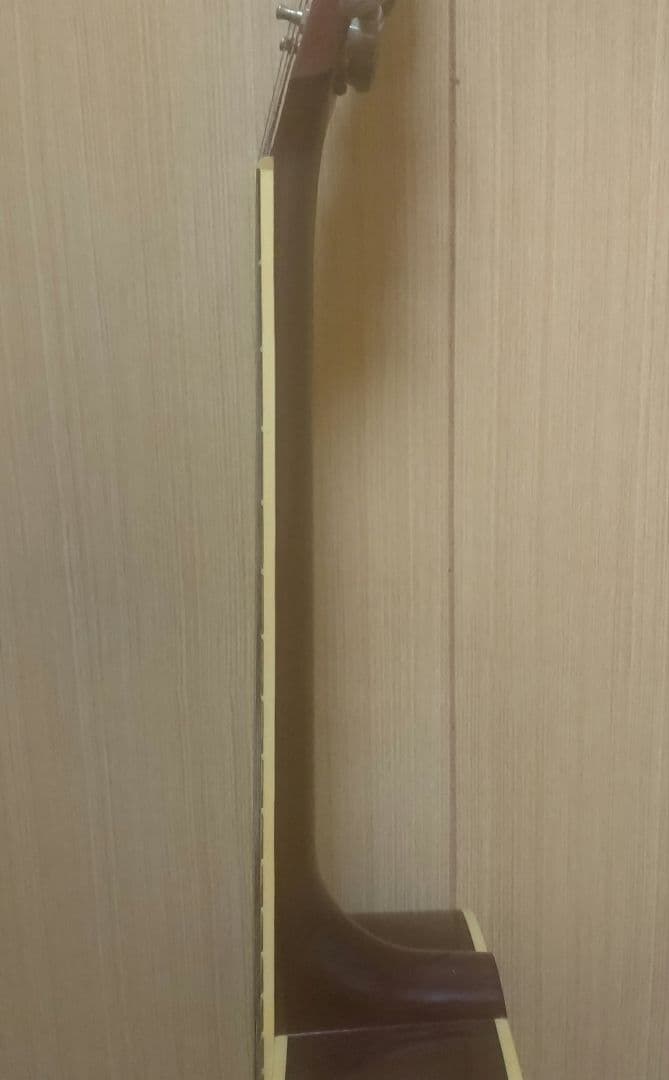 Gibson ハミングバード