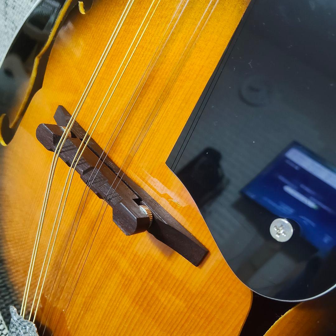 ARIA AM-20 マンドリン 8弦