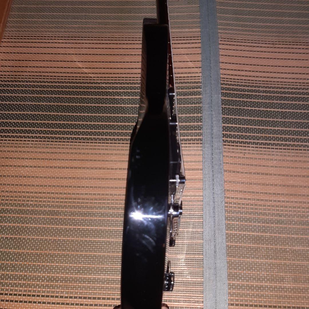 ESP グラスルーツ GrassRoots レスポール ソフトケース、オマケ付き